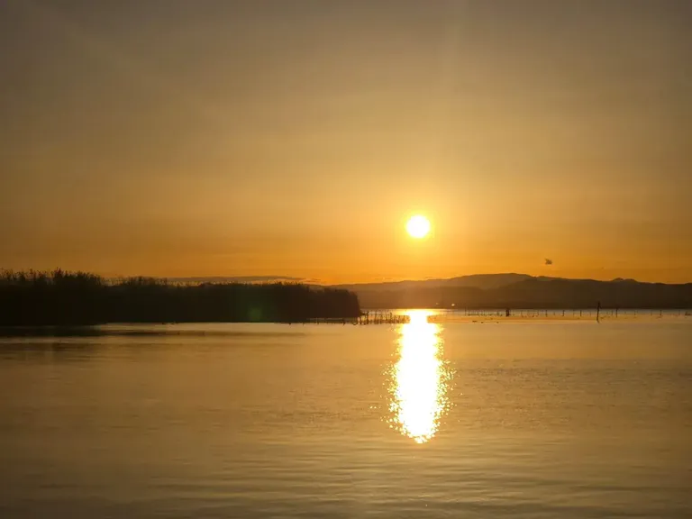 Albufera