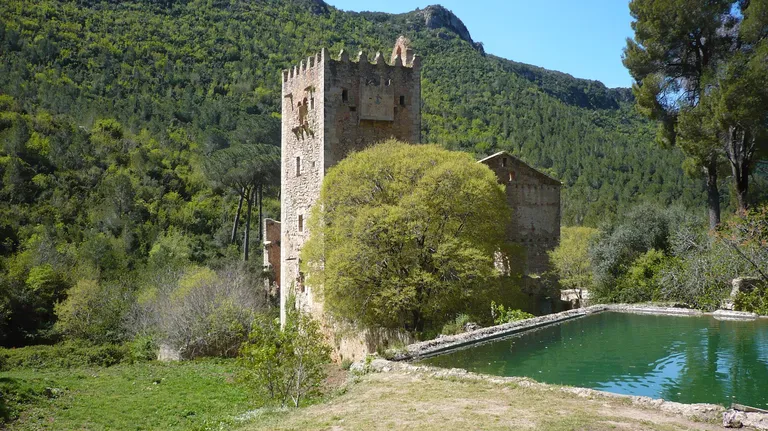 Alzira & Murta