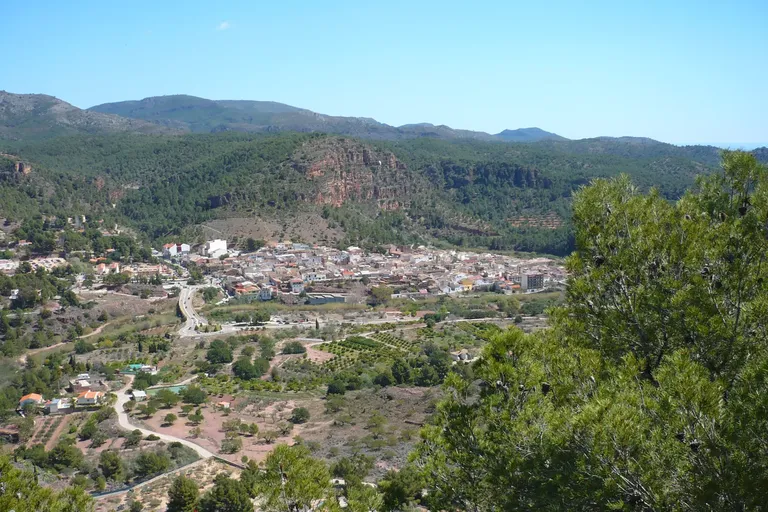 Olocau