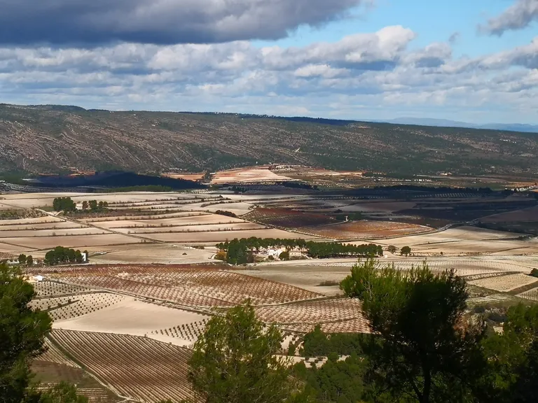 Bastida de les Alcusses