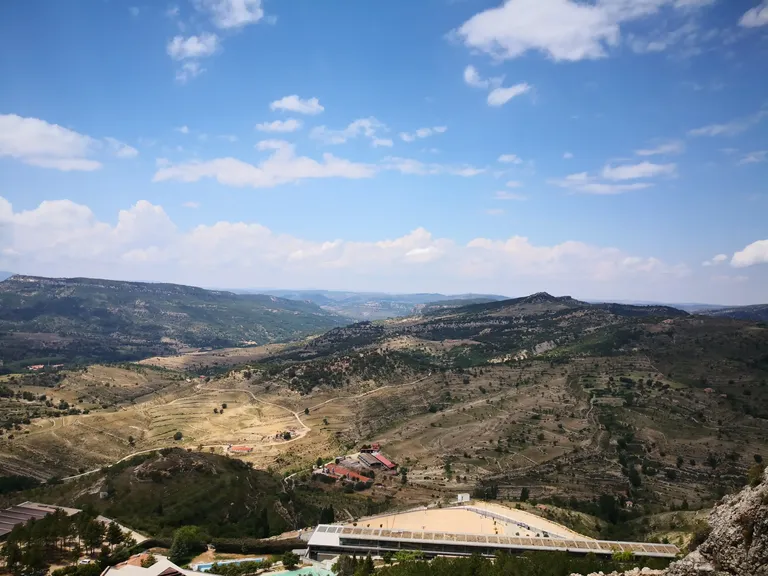Morella