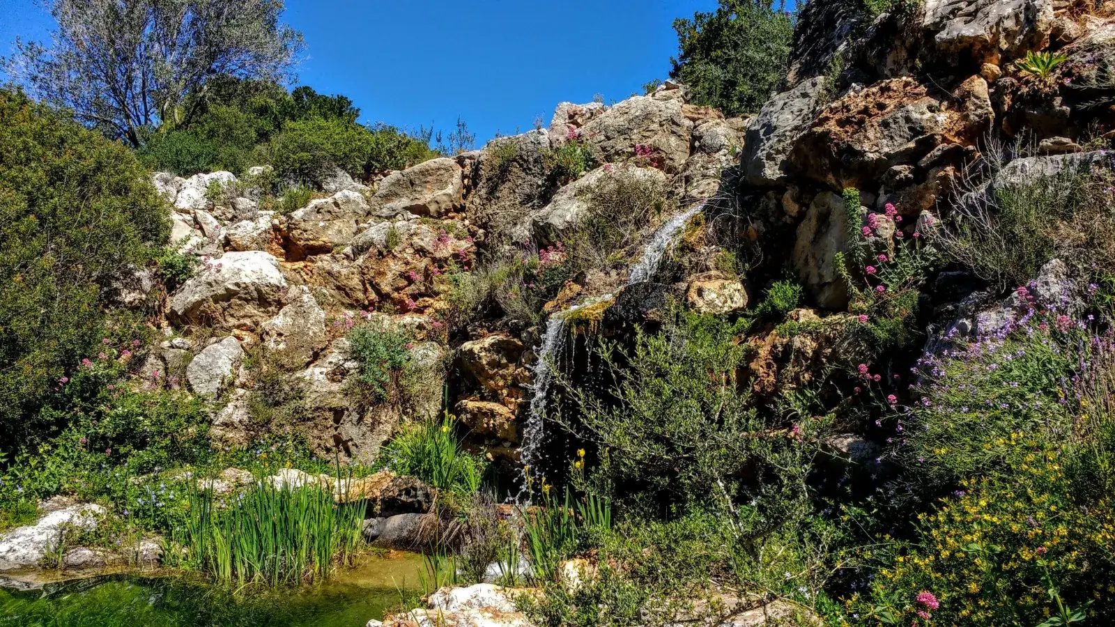 Albarda Garden, Denia or Jávea