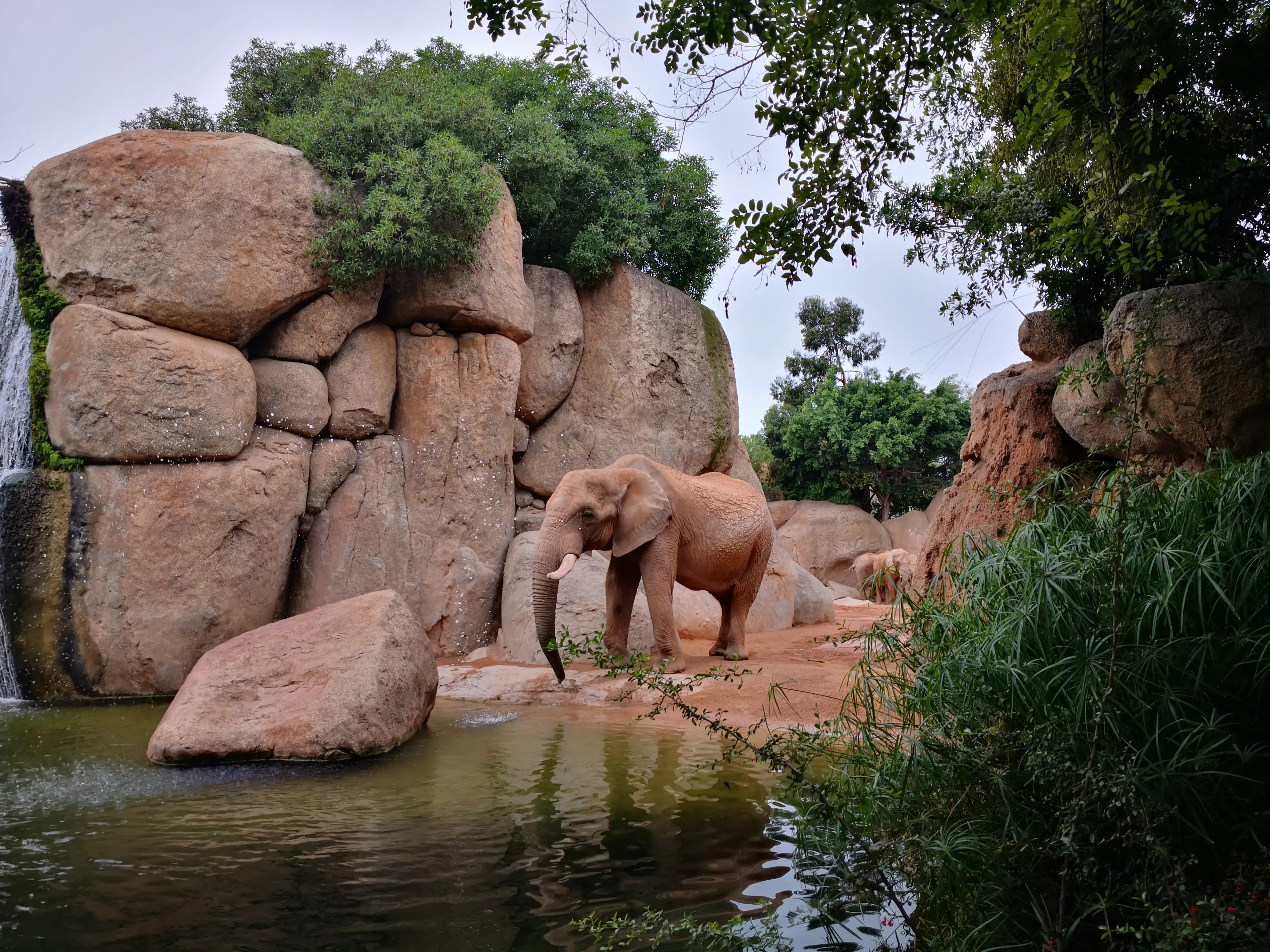 Bioparc